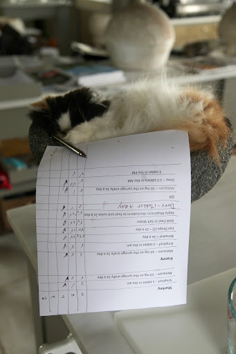 Okay, let's go down the list and check off who got what medication.