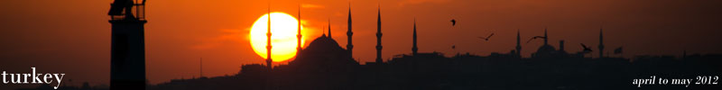 Banner Banner