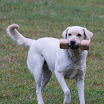 IMG_1248.JPG