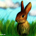 Rabbit.jpg