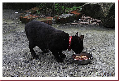 IMG_6174 IMG_6174