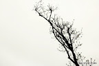 Photo 12-2-7 下午11 01 03.jpg
