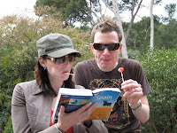 Lollipop guides