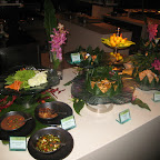 IMG_3062.JPG