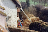 Re-thatching Well Cottage. November 1983.