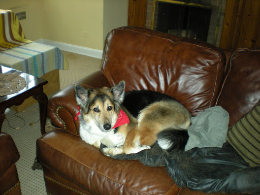 Mothers Day Gift Baskets Email Is Set To Go