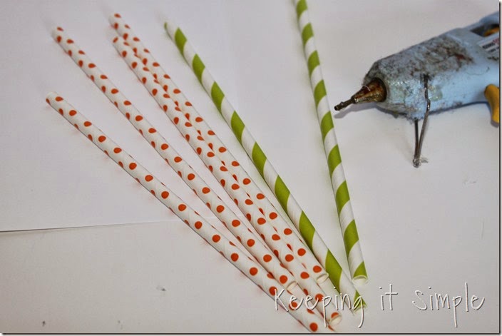 paper-straw-carrot (1)