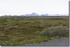 Views from Gullfoss