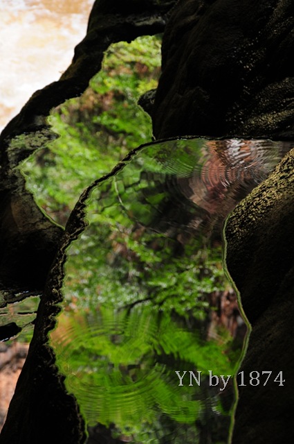 [DSC_5556%255B9%255D.jpg]