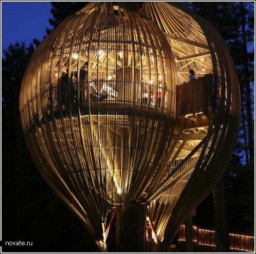 Amazing Tree Houses