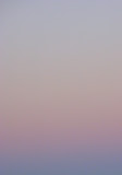 IMG_7329.JPG