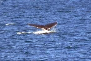 [clip_image006%255B3%255D.jpg]