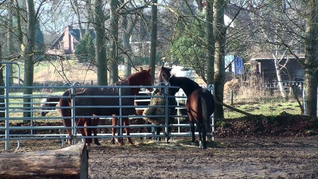 [20140219113856-%25284%2529%255B2%255D.jpg]