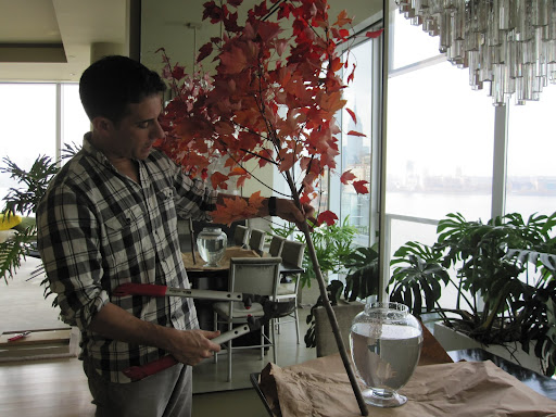 Tom will cut the branch so the leaves will begin at the top of the jar he will be using to place the arrangement in.