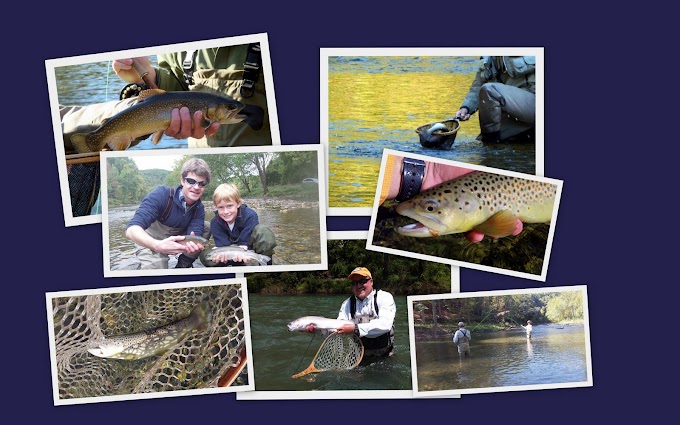 Virginia Fish Report