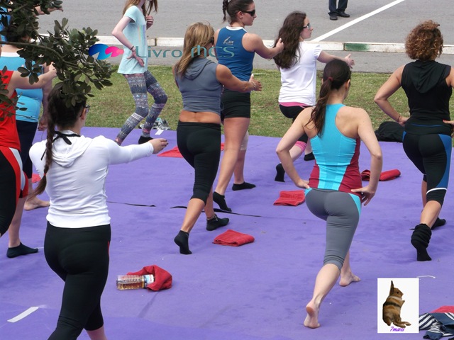 [Bolg%2520Gazeta%2520de%2520Espinho003%2520Livro%2520MCS%255B2%255D.jpg]