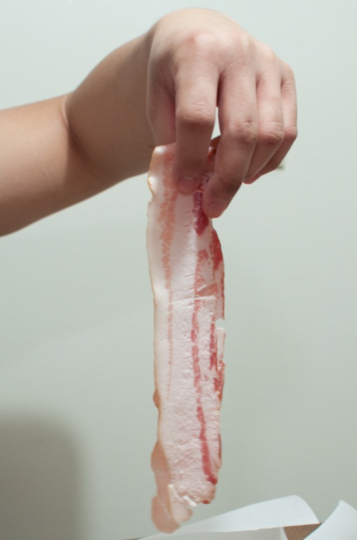 [bacon3%255B10%255D.jpg]