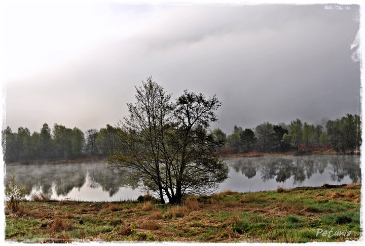 Tåkemorgen