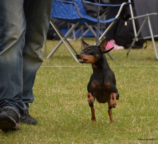 DSC_1165 DSC_1165