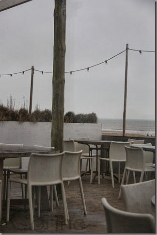terras terras