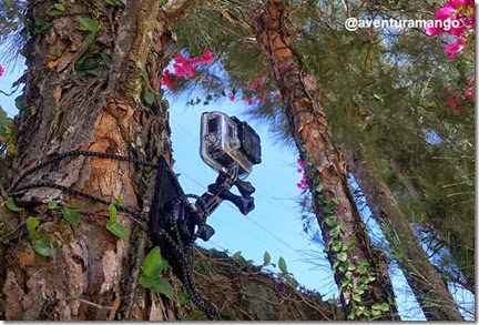 Unidade de Fixação presa a uma árvore Unidade de Fixação presa a uma árvore