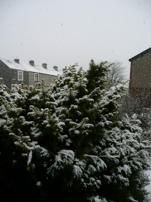 [P1010516%255B4%255D.jpg]