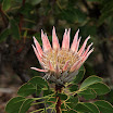 IMG_9783N2.JPG