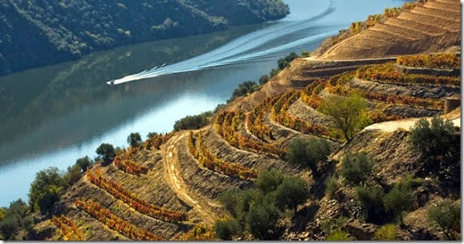 Vale do Douro - Site Vinho e Delícias vale-do-douro-vinho-e-delicias