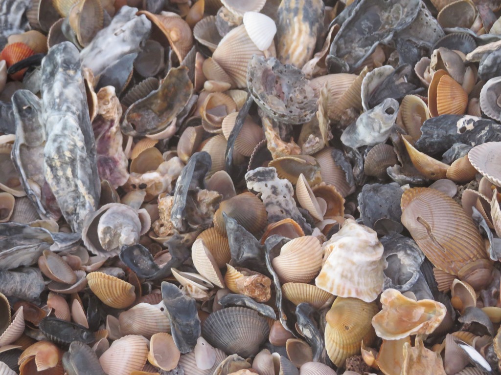 [IMG_0106%255B4%255D.jpg]