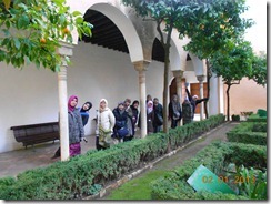 DSCN1660 DSCN1660