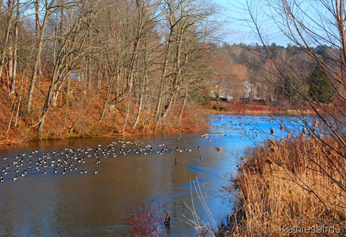 11. Yantic river-kab