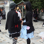 gothic lolita girls in harajuku in Harajuku, Japan 