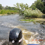 DSCN8343.JPG