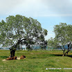 DSC08143.JPG