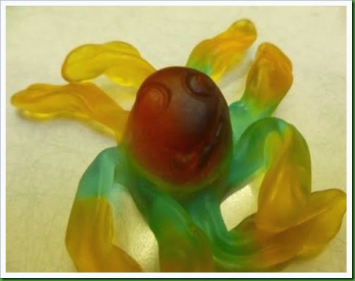 Octopus with a face Octopus with a face