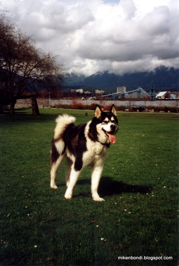 [Vancouver%2520-%2520Stanley%2520Park%2520003%255B4%255D.jpg]