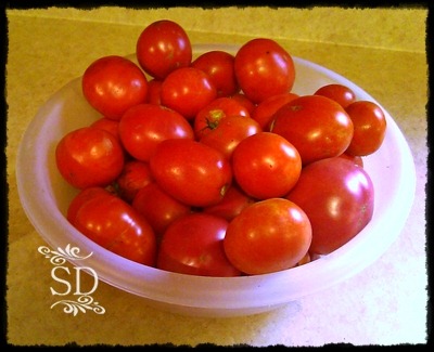 [TomatoeHarvest%255B2%255D.jpg]