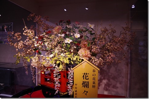 IMGP3737 IMGP3737