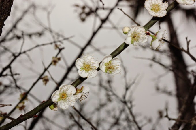 2014_0119_162830 2014_0119_162830