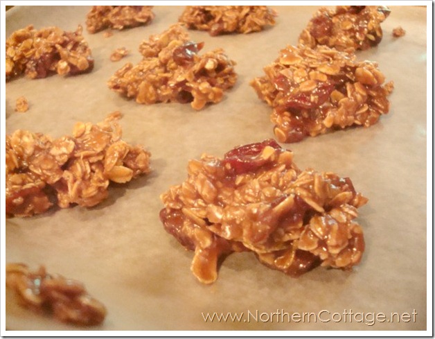 northern cottage no bake pb & chocolate cookies