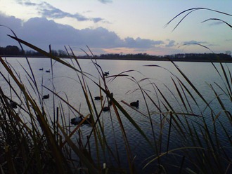 IMG00297-20111027-0751
