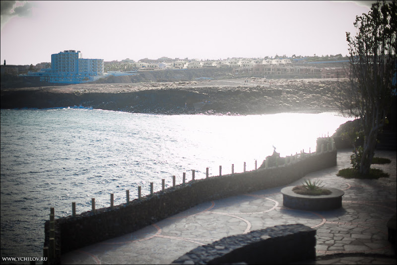 079 www.ychilov.ru foto tenerife.jpg