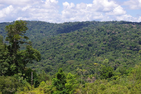 La Montagne Cacao depuis la piste de Coralie, 30 octobre 2012. Photo : J.-M. Gayman