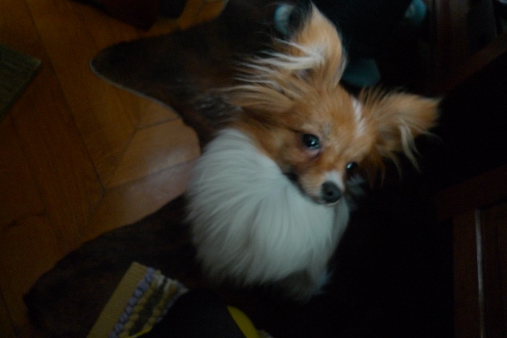[P10105544.jpg]