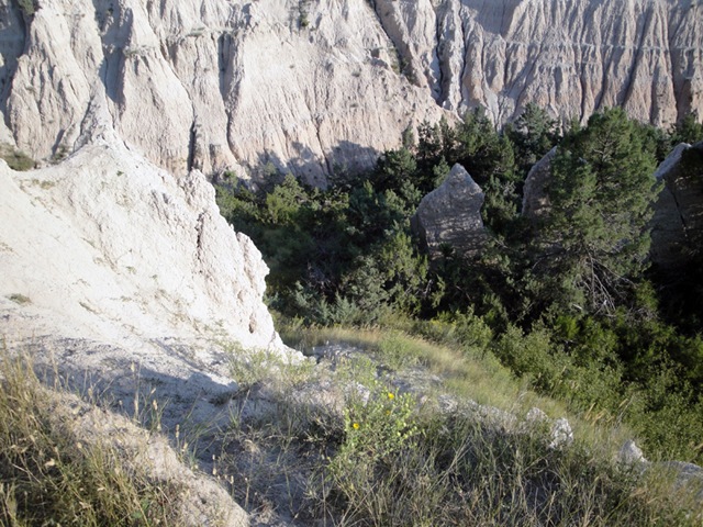 [DSC020862.jpg]