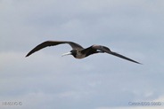 IMG_9424 IMG_9424