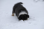 _DSC0057.JPG