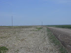 P5220145.JPG