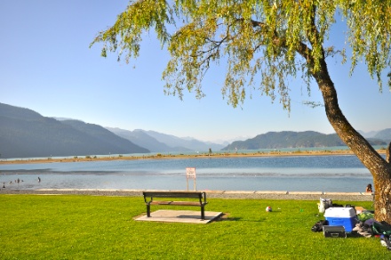 DSC_0265.jpg DSC 0265