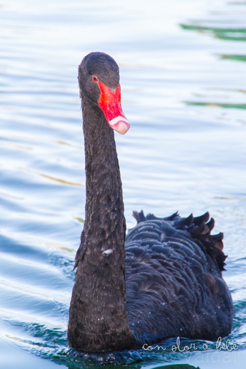 IMG_1205 IMG_1205